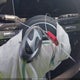 5NMJB3DE9SH443174 2025 Hyundai Tucson Sel auction photo thumbnail 11