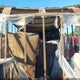 53NBE1828S1110012 2025 Other Other auction photo thumbnail 8