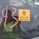 5J6RM4H72CL077678 2012 Honda Cr-V Ex-L auction photo thumbnail 5