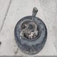 1D7HU18206S585913 2006 Dodge Ram 1500 Slt/Trx4 Off Road/Sport auction photo thumbnail 12