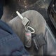 SHSRD78854U248873 2004 Honda Cr-V Ex auction photo thumbnail 11