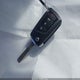 4T1G11AK2LU366004 2020 Toyota Camry Se auction photo thumbnail 11