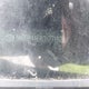 5NPDH4AE8GH771928 2016 Hyundai Elantra Se auction photo thumbnail 9