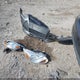 1FADP3F2XDL289096 2013 Ford Focus Se auction photo thumbnail 12