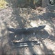 1C6JJTEG5RL114619 2024 Jeep Gladiator Mojave auction photo thumbnail 12