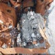 2C3CDXHG3NH189682 2022 Dodge Charger Gt Rwd auction photo thumbnail 10
