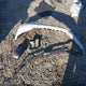3FTTW8F92PRA04836 2023 Ford Maverick Xlt auction photo thumbnail 12