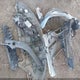 7SAXCBE58PF378409 2023 Tesla Model X Dual Motor All-Wheel Drive/Standard Range auction photo thumbnail 11