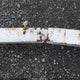 1ZE1RFX12PA029285 1993 Ez Loader Boat Trailer auction photo thumbnail 13