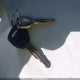 5FNRL185X2B038022 2002 Honda Odyssey Lx auction photo thumbnail 11