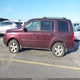 5FNYF4H43AB023923 2010 Honda Pilot Ex auction photo thumbnail 14
