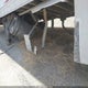 1UYVS2530CU470302 2012 Utility Trailer Mfg Unknown auction photo thumbnail 7