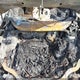 1FMCU9HX1DUA79843 2013 Ford Escape Sel auction photo thumbnail 10