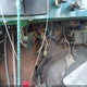 J0M93EB0616529300 1980 Jeep Cj7 auction photo thumbnail 20