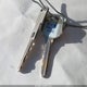2G4WS52J941288677 2004 Buick Century auction photo thumbnail 11