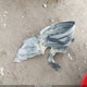 1G1AF5F51A7122970 2010 Chevrolet Cobalt Lt auction photo thumbnail 12