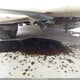 1HGCV1F18KA014165 2019 Honda Accord Lx auction photo thumbnail 17