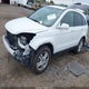 JHLRE4H78AC000543 2010 Honda Cr-V Ex-L auction photo thumbnail 2