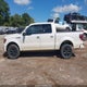 1FTFW1EV3AFD01802 2010 Ford F-150 Fx4/Harley-Davidson/King Ranch/Lariat/Platinum/Xl/Xlt auction photo thumbnail 13