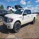 1FTFW1EV3AFD01802 2010 Ford F-150 Fx4/Harley-Davidson/King Ranch/Lariat/Platinum/Xl/Xlt auction photo thumbnail 2