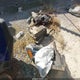 3VWLL7AJ5DM376360 2013 Volkswagen Jetta 2.0L Tdi auction photo thumbnail 11