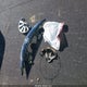 3N1AB7AP4HY242474 2017 Nissan Sentra S auction photo thumbnail 12