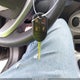 3FADP4BJ5KM163310 2019 Ford Fiesta Se auction photo thumbnail 11
