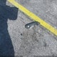 SALYJ2EX0NA331642 2022 Land Rover Range Rover Velar P250 S auction photo thumbnail 11