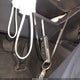 4T1G11AKXLU502878 2020 Toyota Camry Se auction photo thumbnail 11