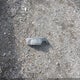 1C6RREFT4KN819859 2019 Ram 1500 Big Horn/Lone Star 4X2 5'7 Box auction photo thumbnail 12