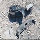 JA4AR3AUXLU021782 2020 Mitsubishi Outlander Sport 2.0 Be Awc/2.0 Es Awc/2.0 Se Awc/2.0 Sp Awc auction photo thumbnail 12
