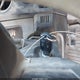 1FTFX1EF4DFB30763 2013 Ford F-150 Stx auction photo thumbnail 11