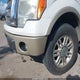 1FTFW1EV1AKA82474 2010 Ford F-150 Fx4/Harley-Davidson/King Ranch/Lariat/Platinum/Xl/Xlt auction photo thumbnail 20