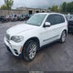 5UXZV4C59D0B17428 2013 BMW X5 xDrive35I/xDrive35I Premium/xDrive35I Sport Activity auction photo thumbnail 2