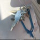 1GCGC24J6DJ102908 1983 Chevrolet C20 auction photo thumbnail 11