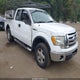 1FTEX1E8XAFD70442 2010 Ford F-150 Stx/Xl/Xlt auction photo thumbnail 1
