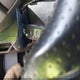 9BWPH61J424074265 2002 Volkswagen Gti Vr6 auction photo thumbnail 11