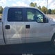 1FTRW12819FB19216 2009 Ford F-150 Xl/Xlt auction photo thumbnail 14