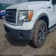 1FTFW1EV9AFA30325 2010 Ford F-150 Fx4/Harley-Davidson/King Ranch/Lariat/Platinum/Xl/Xlt auction photo thumbnail 6