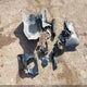 KNDER2AA2R7662777 2024 Kia Seltos Ex auction photo thumbnail 12
