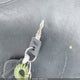 1HD4LE215KC433017 2019 Harley-Davidson Xl883 N auction photo thumbnail 11