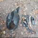3GKALPEG3PL203007 2023 GMC Terrain Fwd Slt auction photo thumbnail 12