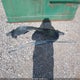 2C3LA63HX6H190266 2006 Chrysler 300C auction photo thumbnail 12