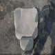 4T1BF3EK4AU101549 2010 Toyota Camry Le auction photo thumbnail 12
