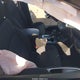 1G1ZB5ST0NF209497 2022 Chevrolet Malibu Fwd Ls auction photo thumbnail 5