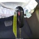 1FADP3F26DL333773 2013 Ford Focus Se auction photo thumbnail 11