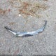 3FAHP0KC9CR256766 2012 Ford Fusion Sport auction photo thumbnail 12