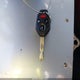 4S4BP66C697313241 2009 Subaru Outback 2.5I Limited auction photo thumbnail 11