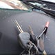 5TEKU72N26Z270693 2006 Toyota Tacoma Prerunner V6 auction photo thumbnail 11