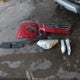 1FMCU9H99DUC18571 2013 Ford Escape Sel auction photo thumbnail 12